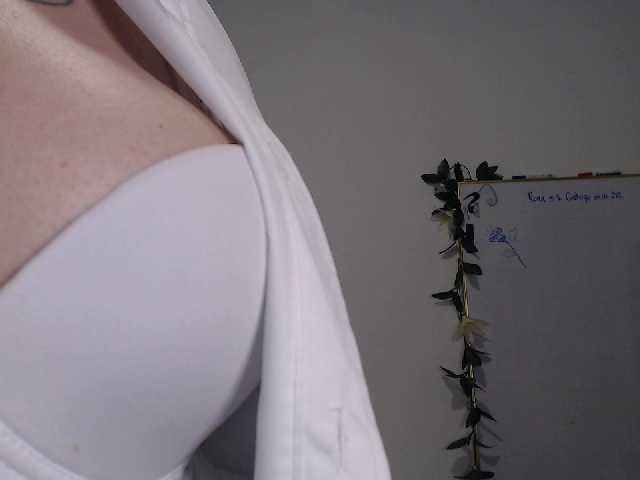 Vysílací screenshoty AdaIson