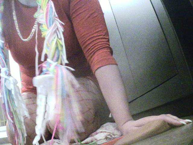 Vysílací screenshoty Alice4U