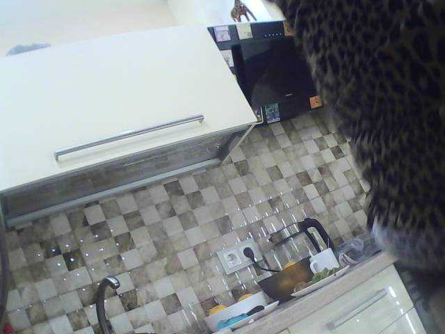 Vysílací screenshoty Alice4U