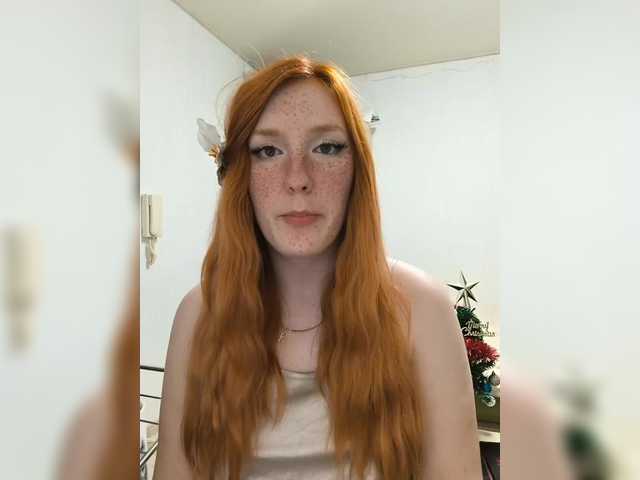 Vysílací screenshoty AmaryllisFox