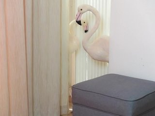 Erotický videochat AmeliaJune