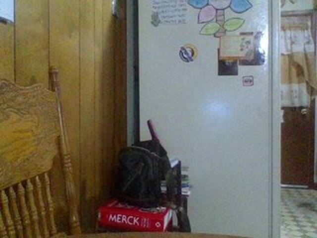 Vysílací screenshoty AmeliaReign