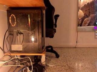 Erotický videochat amina-west