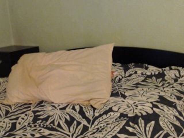 Vysílací screenshoty Alissia_Kiss