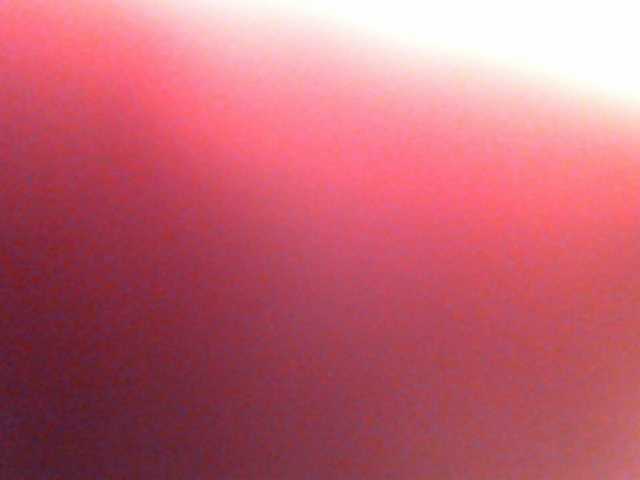 Vysílací screenshoty anawild4you