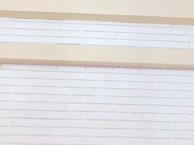Vysílací screenshoty angelasia