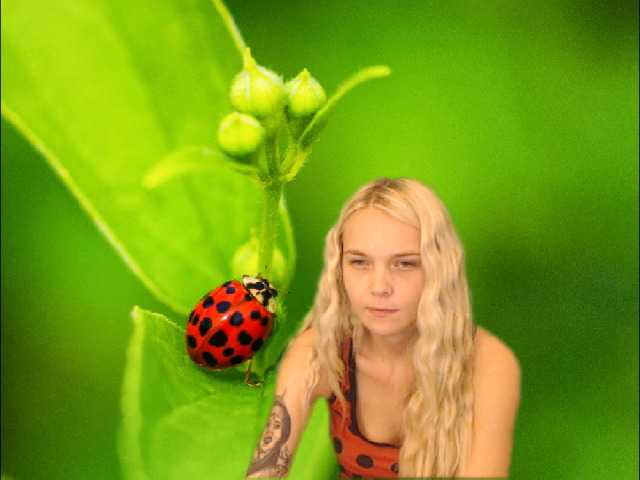 Fotky AnnaHappy18 ...the story of the lonely ladybug.