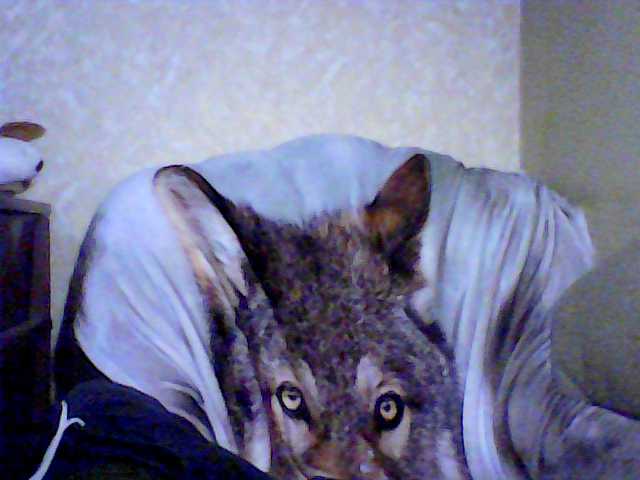 Vysílací screenshoty arinae