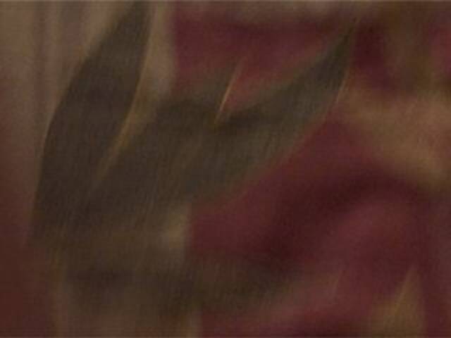 Vysílací screenshoty AshaPM