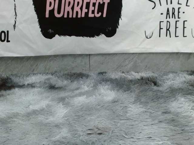 Vysílací screenshoty Asian-girll