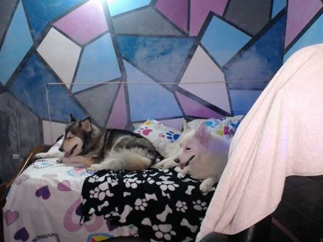Vysílací screenshoty beautifulchubbyqueen