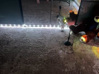 Erotický videochat -KOCMOC-13