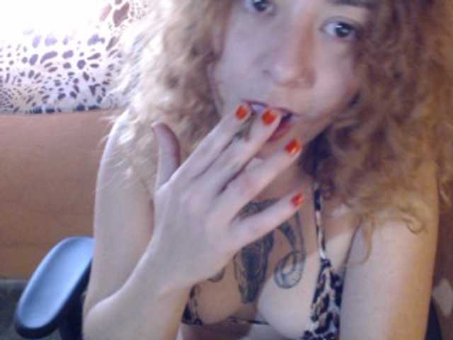 Vysílací screenshoty bridgetwitch