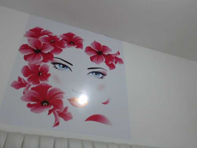 Vysílací screenshoty Camirous