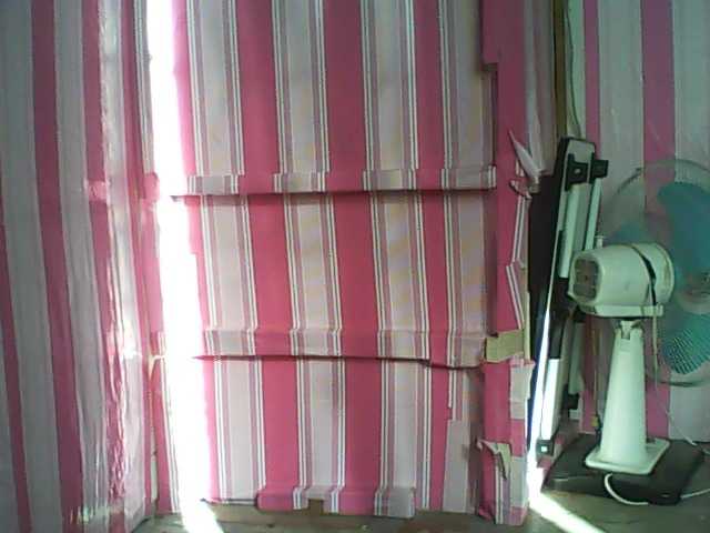 Vysílací screenshoty cherryblossom