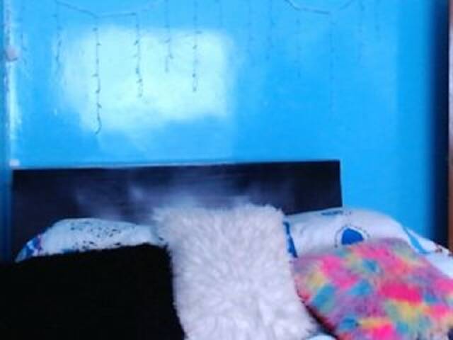 Vysílací screenshoty Courageuse