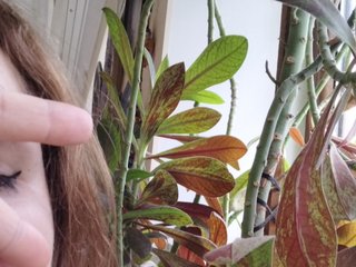 Erotický videochat Crazycouple8