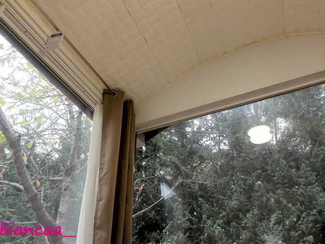 Vysílací screenshoty Denise-Quinn