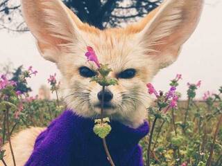 Erotický videochat Anecka31