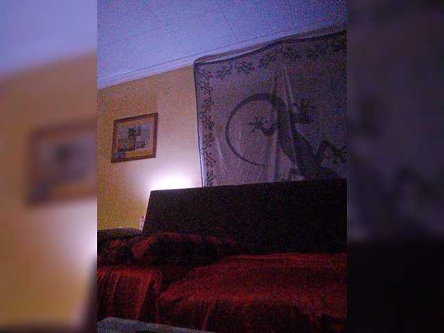 Vysílací screenshoty Doggysx