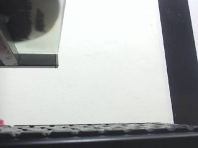 Vysílací screenshoty Dulceik