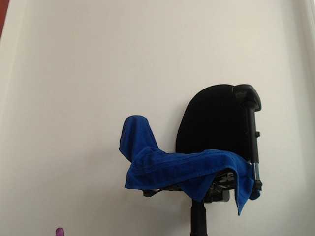 Vysílací screenshoty ElianaKin