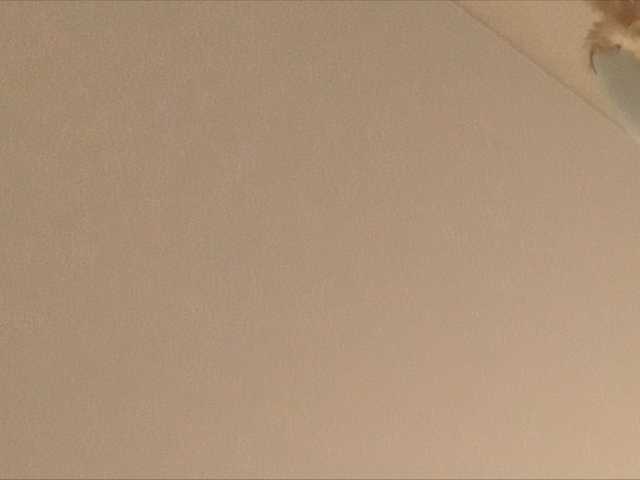 Vysílací screenshoty fibi8590