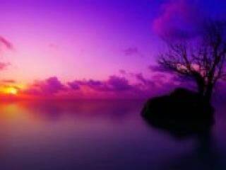 Erotický videochat florabella