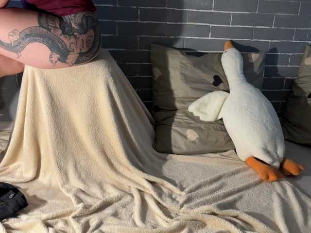 Vysílací screenshoty Fox-Paws