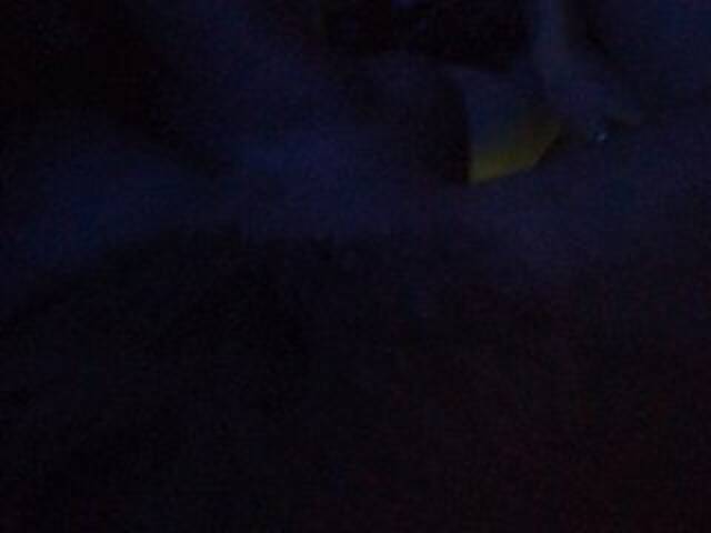 Vysílací screenshoty HADbKA