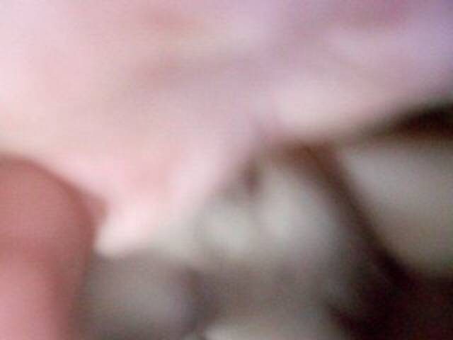 Vysílací screenshoty Iren2018