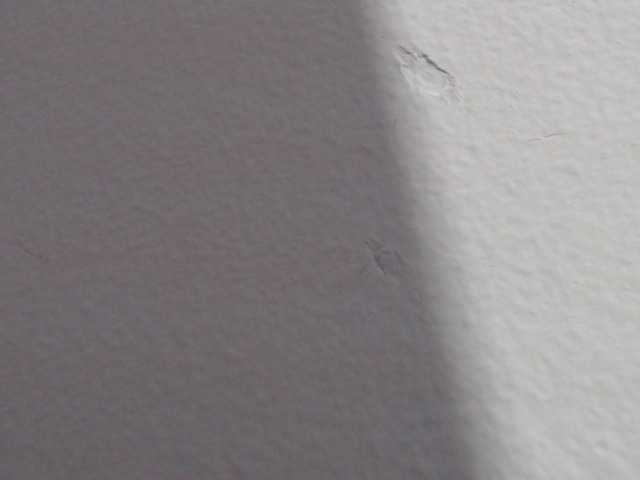 Vysílací screenshoty Katithompson