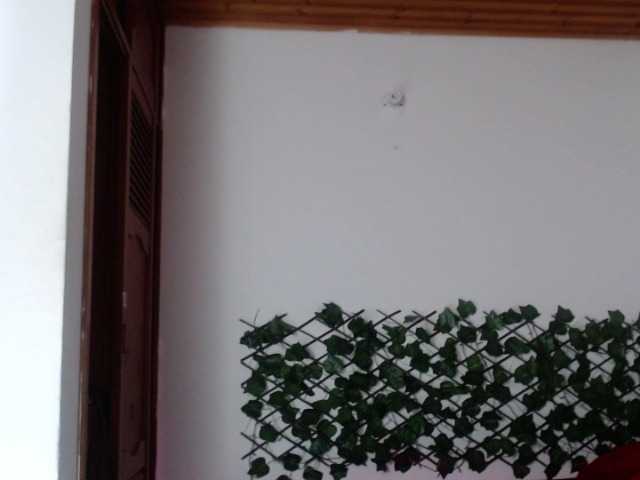 Vysílací screenshoty Keilly-