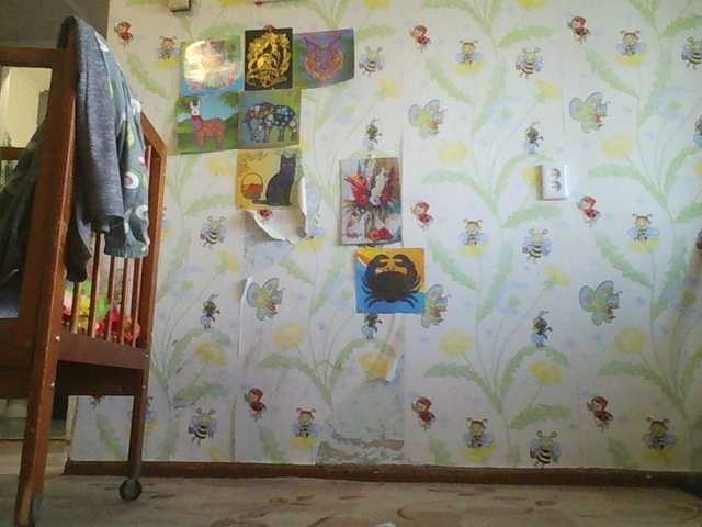 Vysílací screenshoty krasotyla