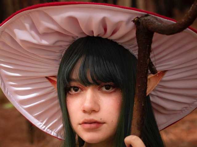 Fotografie profilu LeeZoldyck