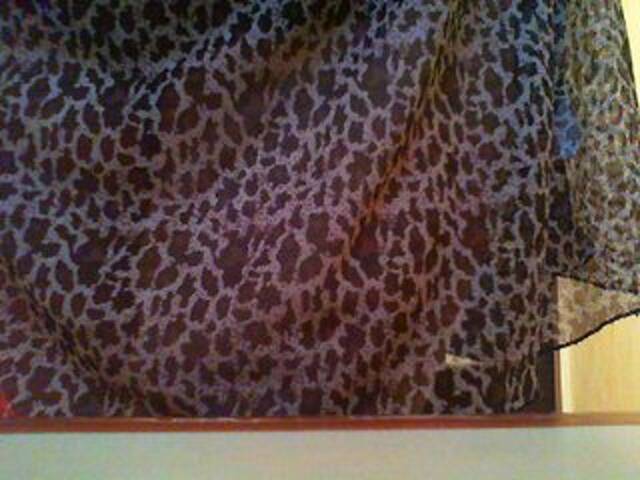 Vysílací screenshoty Alena209