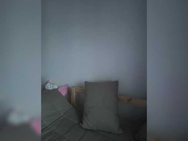 Vysílací screenshoty linaalisa