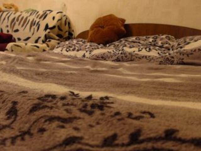 Vysílací screenshoty LisBlackVlady