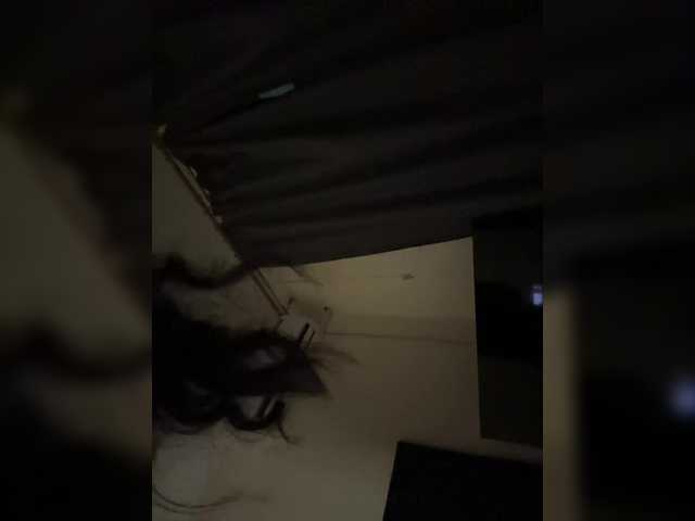 Vysílací screenshoty LisichkinDom