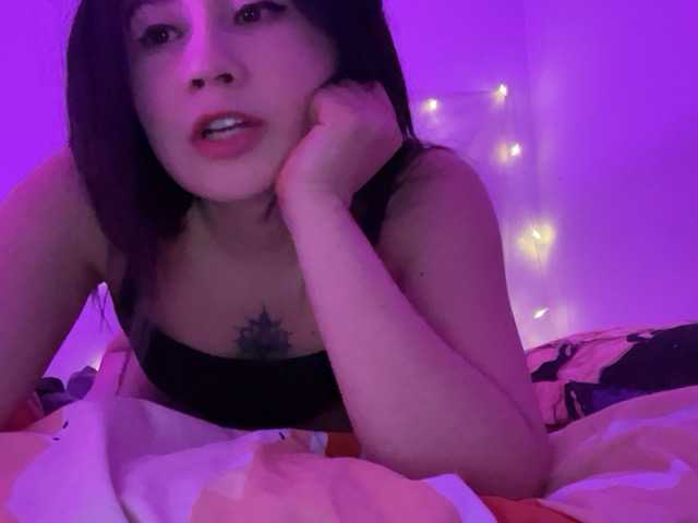 Vysílací screenshoty Little-miau