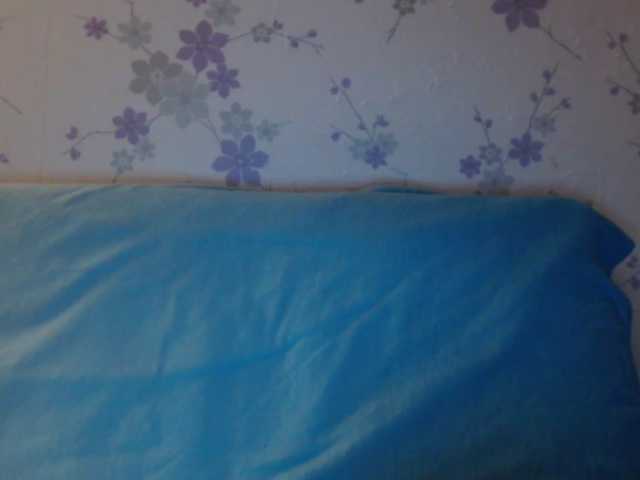 Vysílací screenshoty littledevi