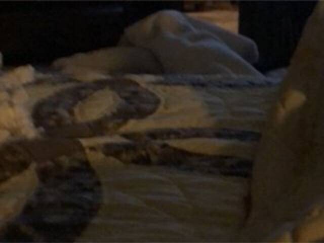 Vysílací screenshoty Littleshorty