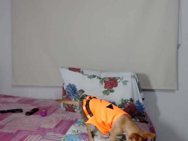Vysílací screenshoty LucyPalma