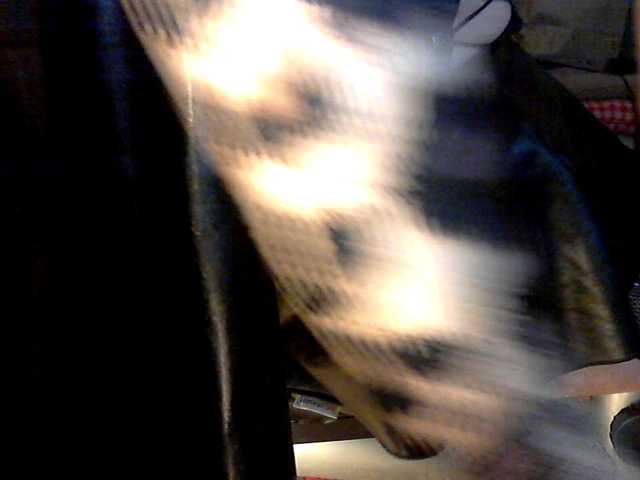 Vysílací screenshoty MarieStar