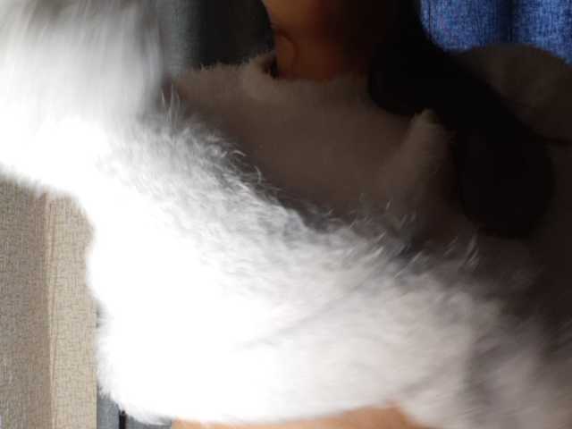 Vysílací screenshoty MASKATV