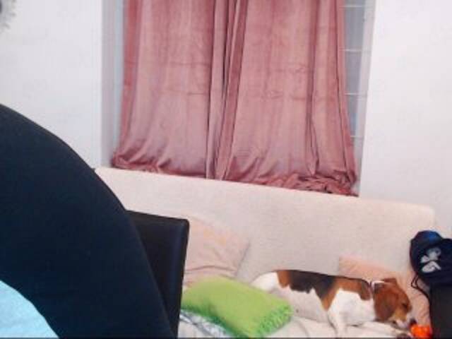 Vysílací screenshoty MaxGACouple