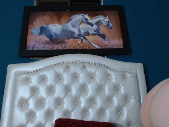 Vysílací screenshoty miqueyla