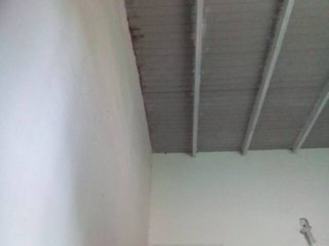 Vysílací screenshoty misscute