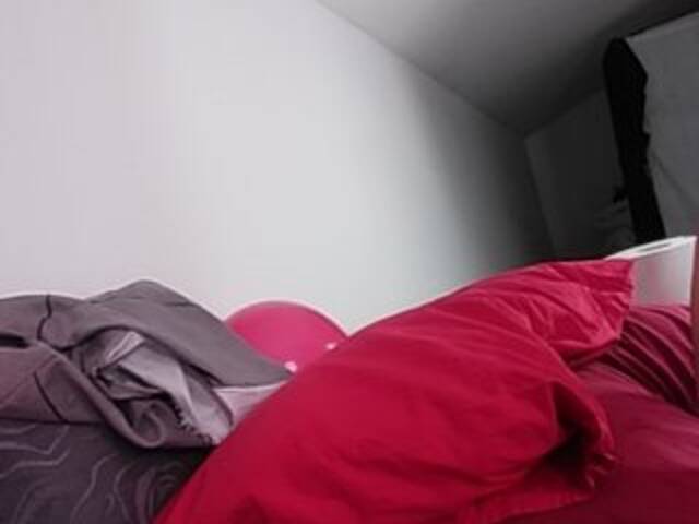 Vysílací screenshoty MisViolaViola