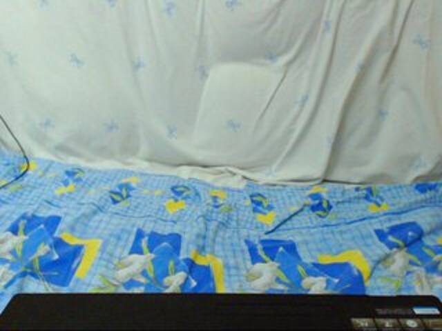 Vysílací screenshoty Morphinee